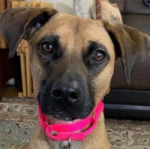 Meet your Posher, Terri